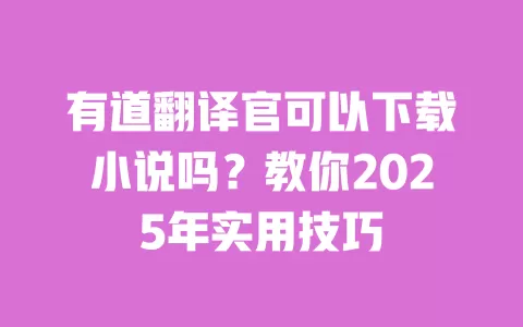 有道翻译官可以下载小说吗?教你2025年实用技巧 一